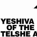 https://yeshivatelshealumni.com/ logo