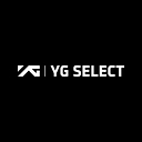 Logo for ygselect.com