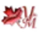 Y&M cleaning services since 1997 logo