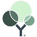 Y Meadows logo
