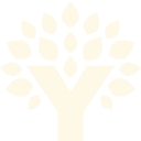 YNAB logo