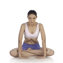 yoga-vidya logo