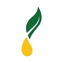 youngliving.com icon