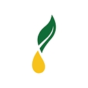 Logo for youngliving.com