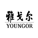 Youngor logo