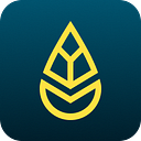 YOYABA GmbH logo