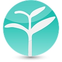 Yoyo Chinese WW logo