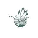 Ypsilanti Food Co Op logo