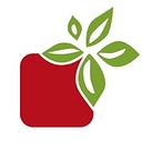Yummy Market logo