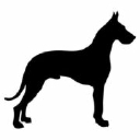 zadbanypupil.pl logo
