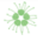 Zea logo