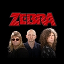The Zebra