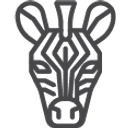 Zebra CBD logo