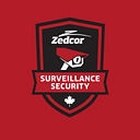 Zedcor Security Solutions