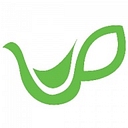 Favicon of Evergreen Matcha