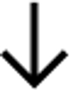 Zerda Digital logo