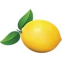 ZESTCHEF.COM