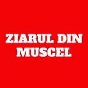 ziaruldinmuscel.ro logo