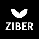 Ziber logo