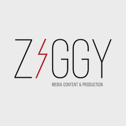 Ziggy Agency Limited logo