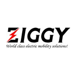 Ziggy LSV INC logo