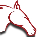 Ziiva logo