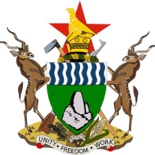 zimnewdelhi.gov.zw
