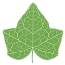 Zinc Educational Services logo