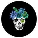 Ziya Blue logo