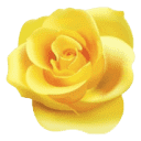 Zonta Club Of Metropolitan Dunedin Incorporated logo