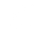 World Wide Packets logo