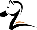 Zebra Strategies logo